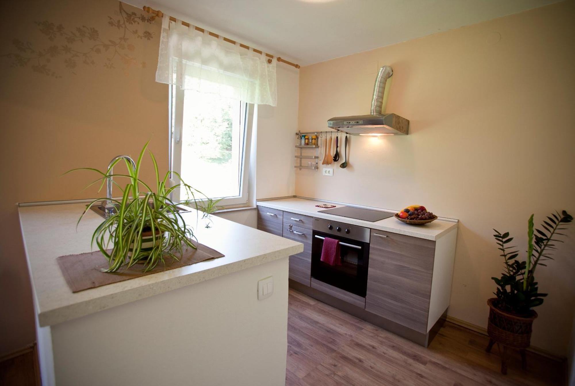 Apartments Soca Kobarid Eksteriør billede
